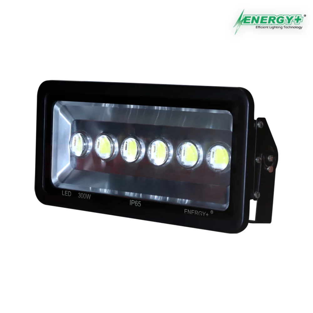 Energy+ 17012-300W Flood Light Lens Type WH/WW