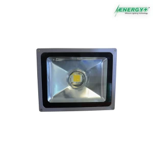 Energy+ 17012-50W Flood Light Lens Type WH/WW